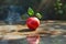 Fresh Red Apple with Green Leaves on a Wet Wooden Surface with Natural Background