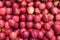 Fresh red apples backgrounds, lots of red apples