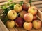 Fresh red apples with leaves in a wooden crate on a rustic table. Wild grape leaves. Autumn harvest. Still life. Close-up