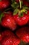 Fresh red aromatic wholesome summer berry. Strawberry. The concept of a healthy diet and agriculture.