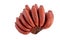 fresh red banana isolated on white background. group of varieties of banana with reddish-purple skin