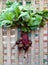 Fresh Red Beets Hanging on Fence