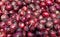 Fresh red bulbs onion background