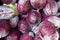 Fresh Red Cabbage on Open Air Market Stall in Turkish Bazaar