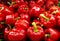 Fresh red capsicum bell peppers in a pile