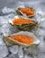 Fresh red caviar in the three oyster shells on ice