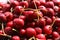 Fresh red cherries, fruits of the summer season