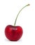 Fresh red cherry isolated