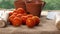 Fresh red cherry tomatoes in a greenhouse