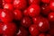 Fresh red cherry water drops on whole background, close up