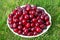 Fresh red cherry in white wicker plate on the lawn.Concept of  beneficial properties of cherries for health,using of stone fruits