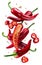 Fresh red chilli peppers and cross sections of chilli pepper with seeds floating in the air. File contains clipping paths