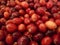 Fresh red cranberries closeup, get your antioxidants