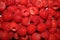Fresh red cultivated ripe raspberries and currant berries, healthy food texture background angle view macro rubus phoenicolasius