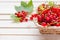 Fresh red currants in bowl on wooden table close up.Ripe large organic red currant in a wicker basket.Summer fresh