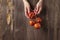 Fresh red delicious tomatoes on a branch in woman`s hands on wooden background.