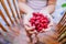 Fresh red dogwood berries in hands