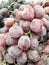 Fresh red globe grapes in the market.