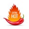 Fresh red hot chili pepper. Kitchen organic vector spicy taste chili mexican pepper with flame fire