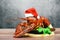 Fresh red lobster with christmas hat shellfish cooked in the seafood restaurant - Steamed lobster dinner food on wooden christmas