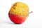 Fresh red and old yellow apple halves with staples on white background,