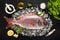 Fresh red porgy fish and ingredients