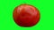 Fresh red raf tomato on green screen background