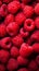 Fresh Red Raspberries Closeup with Water Droplets - Isolated Red Berry Background