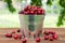 Fresh red ripe cherry in a bucket on the wooden background. Ripe red cherries in the metal bucket on a wooden background