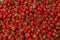 Fresh red ripe organic strawberry on the farmers market. Close-up berry background. Healthy vegan food