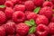 Fresh red ripe raspberries. Raspberries background