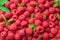 Fresh red ripe raspberries. Raspberries background