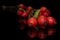 Fresh red rosehip isolated on black glass