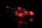 Fresh red rosehip isolated on black glass