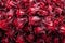 Fresh red Roselle use for herb or food concept
