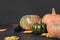 Fresh red round pumpkin on a black background, a black mouse, fallen yellow maple leaves, autumn