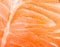 Fresh red salmon texture.