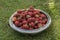 Fresh red strawberries in the stainless steel bowl in the grass in the garden. Clean, delicious