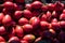 Fresh red tamarillo fruit vegetable at market stall in Portugal