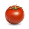 Fresh red tomato realistic vector illustration isolated on white