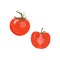 Fresh Red Tomatoes. Vegetable Half Tomato Isolated