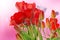 fresh red tulips on abstract spring nature background