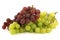 Fresh red and white seedless grapes on the vine