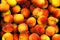 Fresh red and yellow peaches or nectarines Prunus persica on a fruit basket for sale in bio supermarket or grocery store