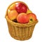 Fresh ripe apple fruits wicker basket, large detailed isolated closeup, red-ripe juicy fruit detail, studio shot, healthy eating