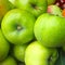 Fresh ripe apples in a basket, collection in a summer garden.