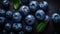 Fresh ripe bilberries with water drops background. Berries backdrop. Generative AI