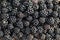 Fresh ripe blackberries. Food background.
