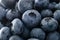 Fresh ripe blueberries background. Texture blueberry berries, de