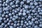 Fresh ripe blueberries with drops of dew. Macro photo. Fresh blueberry background. Texture blueberry berries close up. Ripe bilber